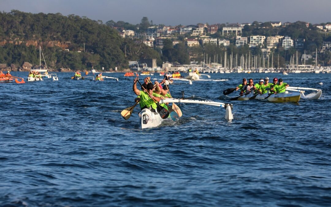 Your Guide to the Island Charity Swim and AO National Marathon Championships 2023