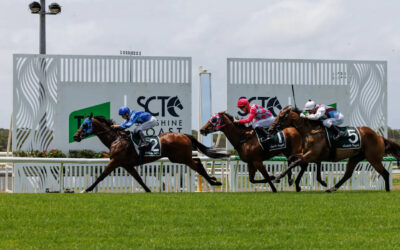 What to Do in Mooloolaba: The Ultimate Summer Planner